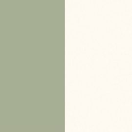 EXTRAVERT M.602.S01 Зеленый буковый / Egger W1100 Белый альпийский