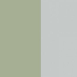 EXTRAVERT M.602.S01 Зеленый буковый / Egger F765 ST20 Серебристый матовый