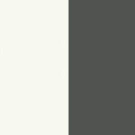 Белый RAL 9016 / Транспортный серый В RAL 7043