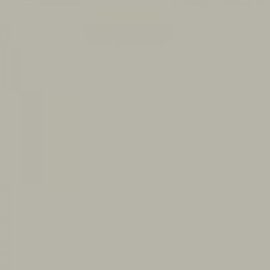 Серый шелк RAL 7044