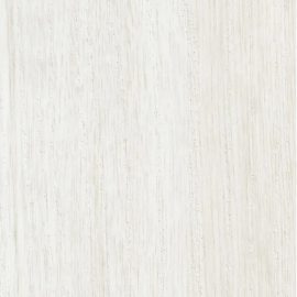 Ива белая DW-088